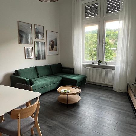 Appartement Direkter Moselblick I Altbau I 4 Personen I Terrasse à Sankt Aldegund Extérieur photo